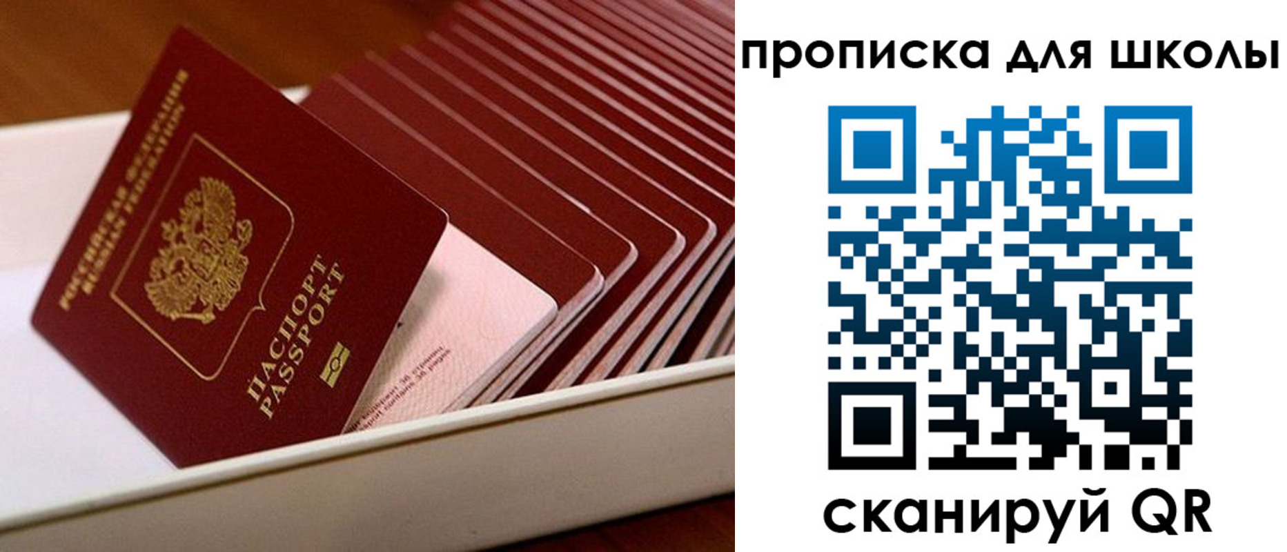 временная регистрация гарантия в Шали